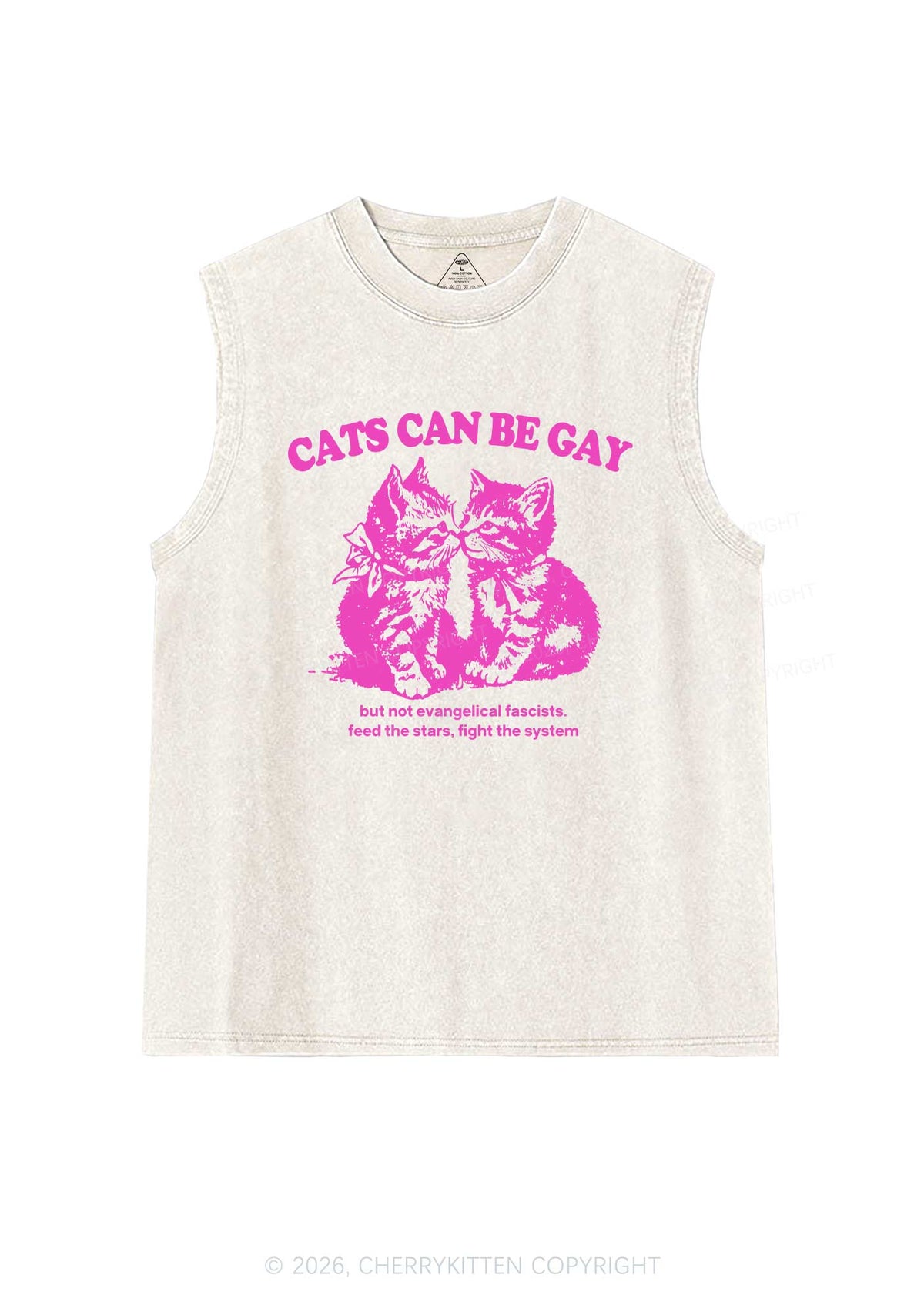Cat Can Be Gay Pride Y2K Washed Muscle Tank Cherrykitten