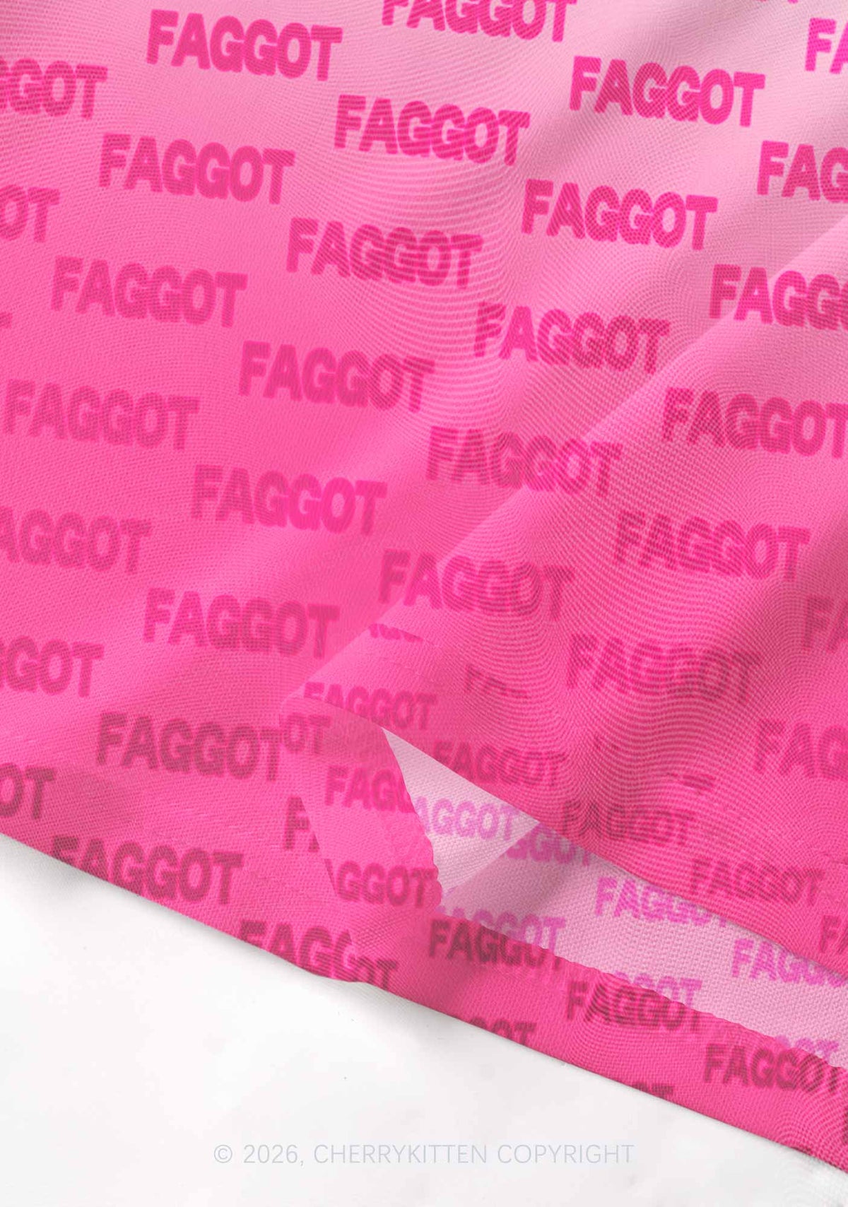 Faded Pink Faggot Pride Y2K Mesh Crop Top Cherrykitten