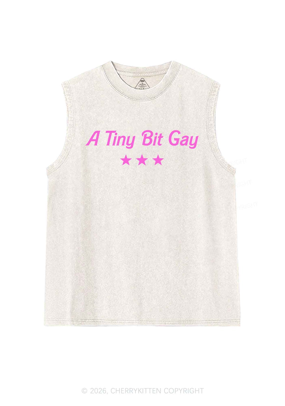 A Tiny Bit Gay Pride Y2K Washed Muscle Tank Cherrykitten