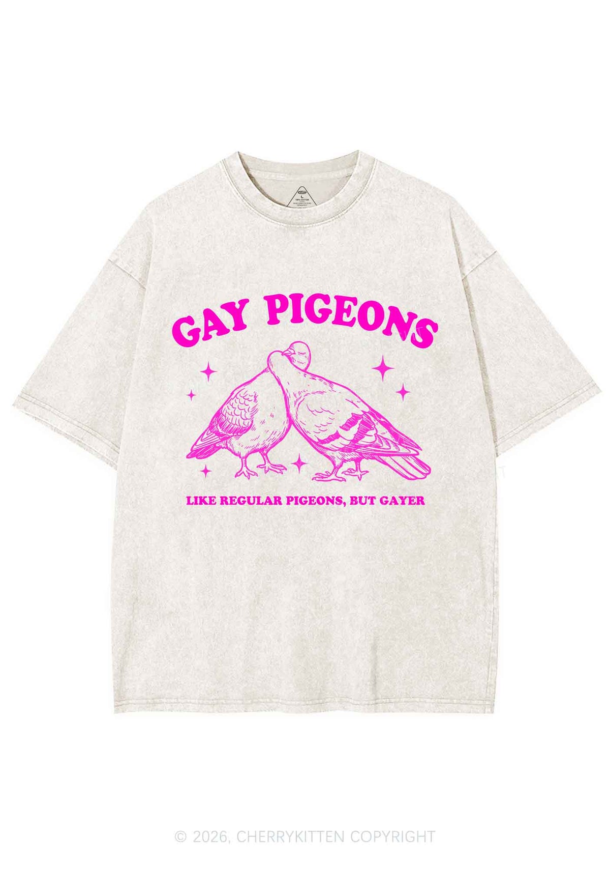 Gay Pigeons Kissing Pride Y2K Shirts Washed Tee Cherrykitten