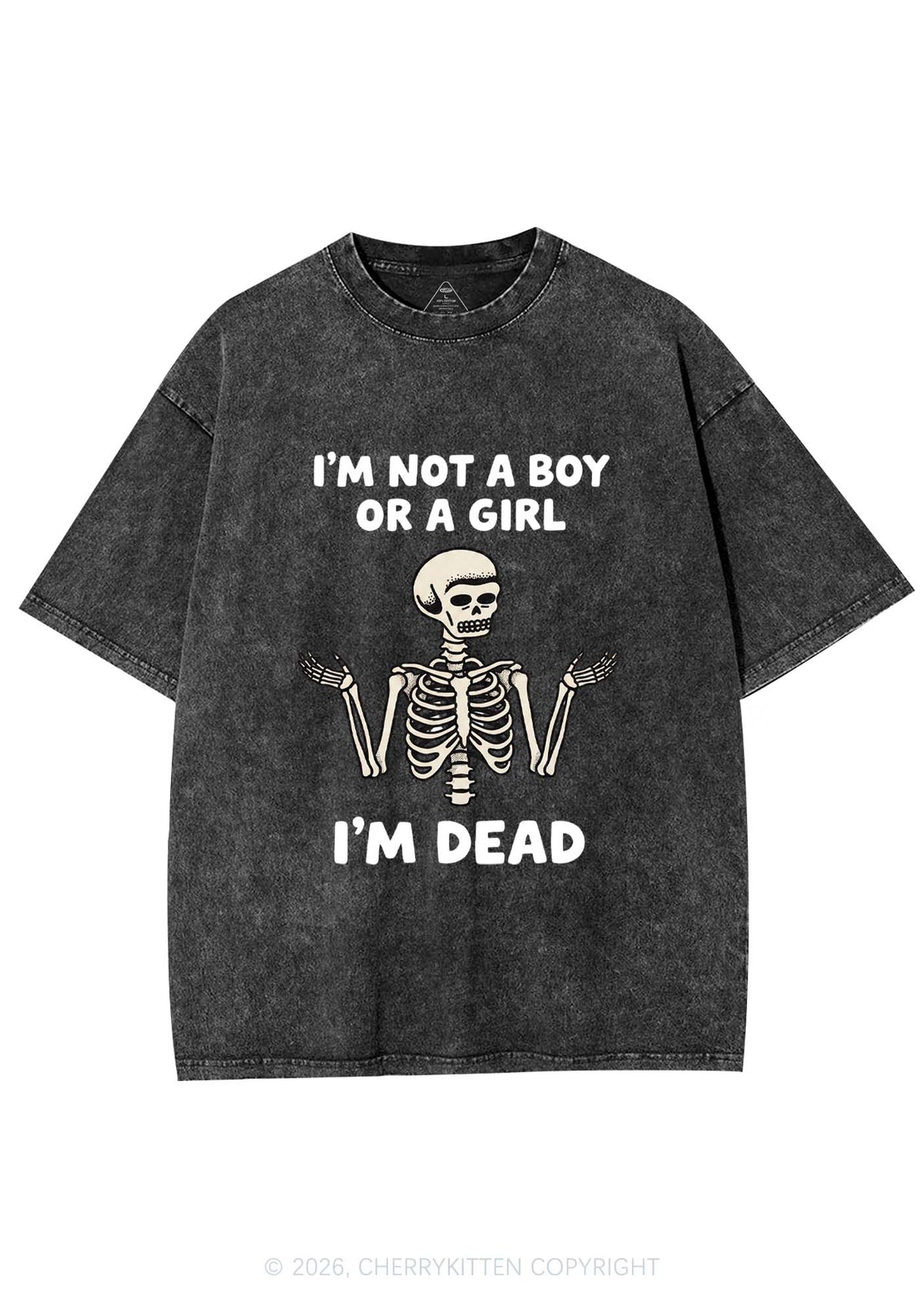 Im Not A Boy Or A Girl Pride Y2K Shirts Washed Tee Cherrykitten