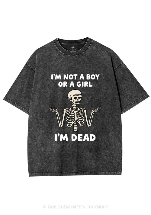 Im Not A Boy Or A Girl Pride Y2K Shirts Washed Tee Cherrykitten