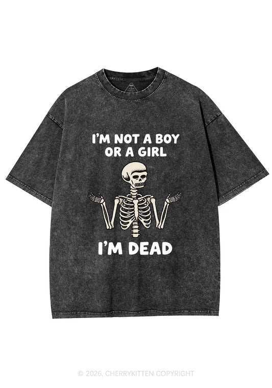 Im Not A Boy Or A Girl Pride Y2K Shirts Washed Tee Cherrykitten