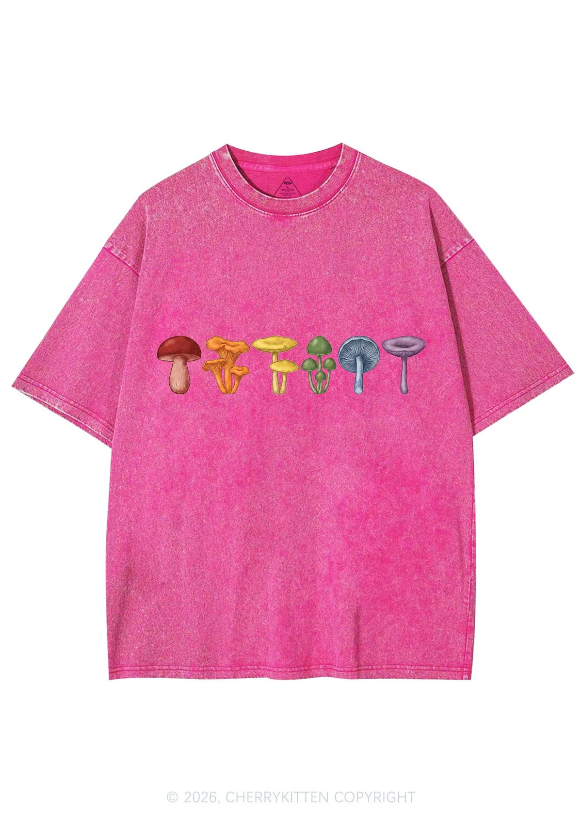 Rainbow Mushroom Pride Y2K Shirts Washed Tee Cherrykitten