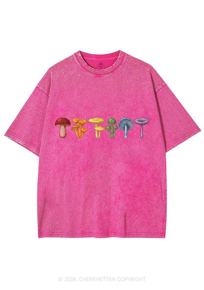 Rainbow Mushroom Pride Y2K Shirts Washed Tee Cherrykitten