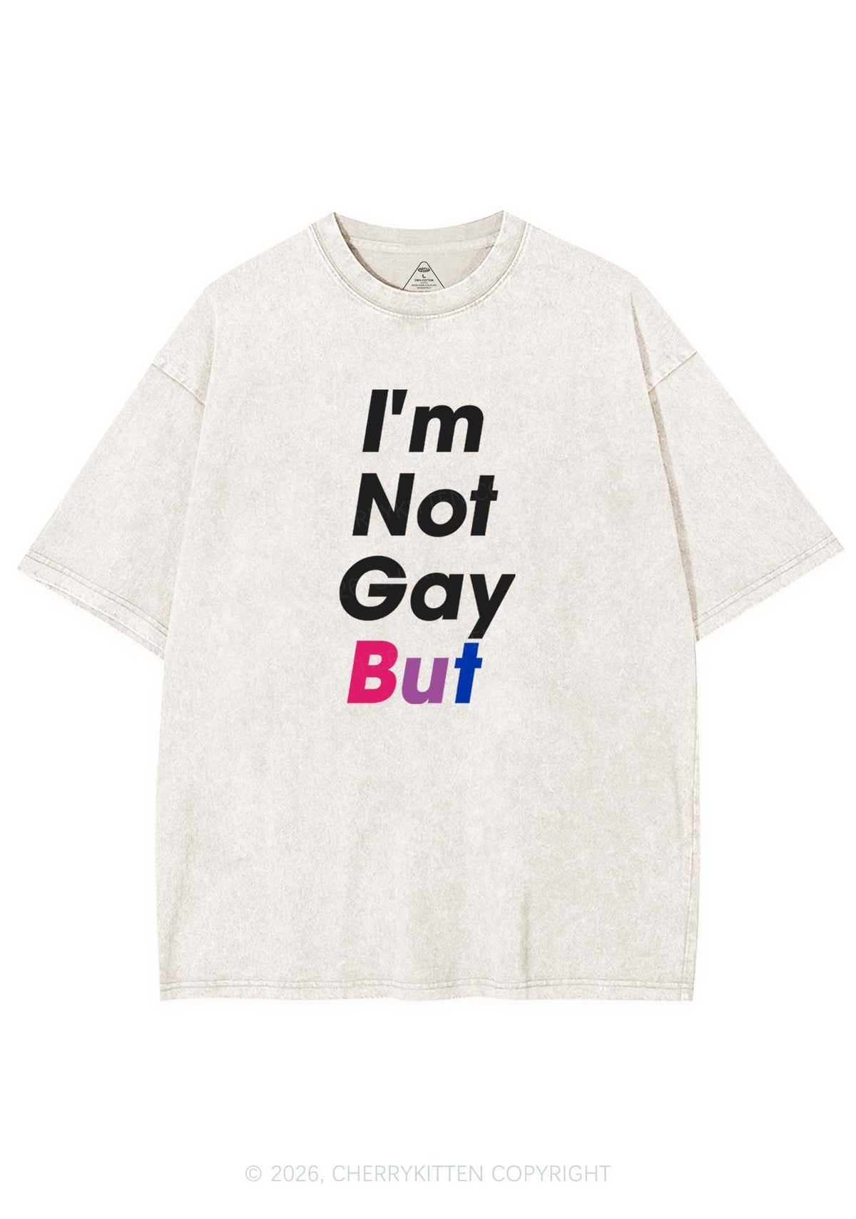 Im Not Gay But Pride Y2K Shirts Washed Tee Cherrykitten