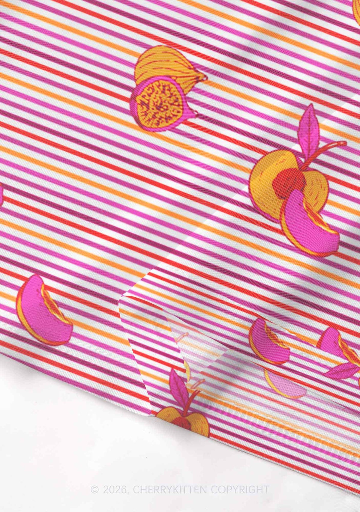 Peachy Lesbian Stripe Pride Y2K Mesh Crop Top Cherrykitten