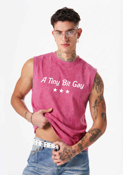 A Tiny Bit Gay Pride Y2K Washed Muscle Tank Cherrykitten