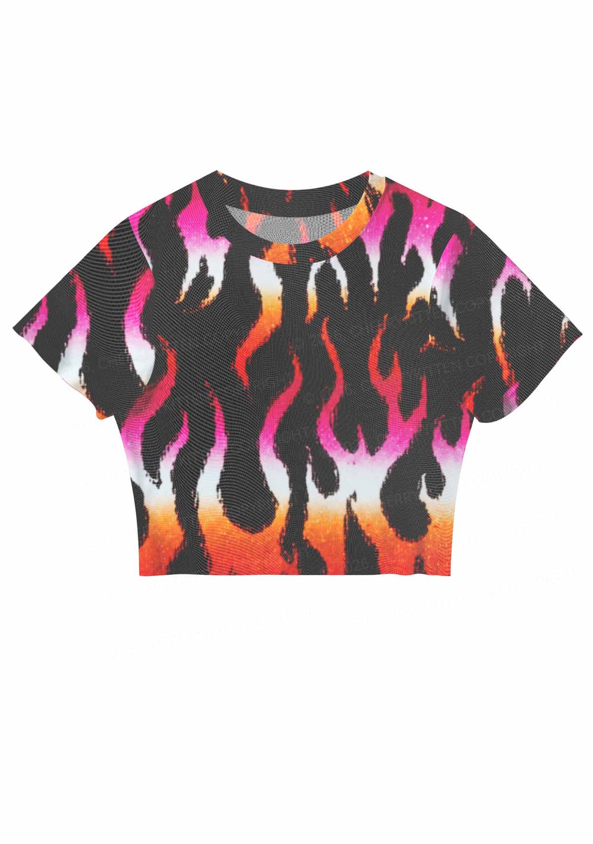 Lesbian Flame Pride Y2K Mesh Crop Top Cherrykitten