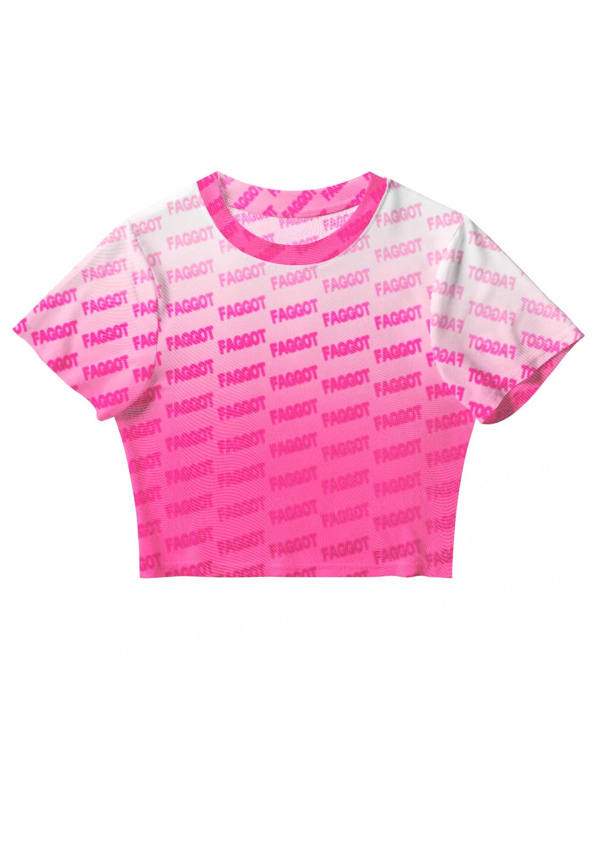 Faded Pink Faggot Pride Y2K Mesh Crop Top Cherrykitten