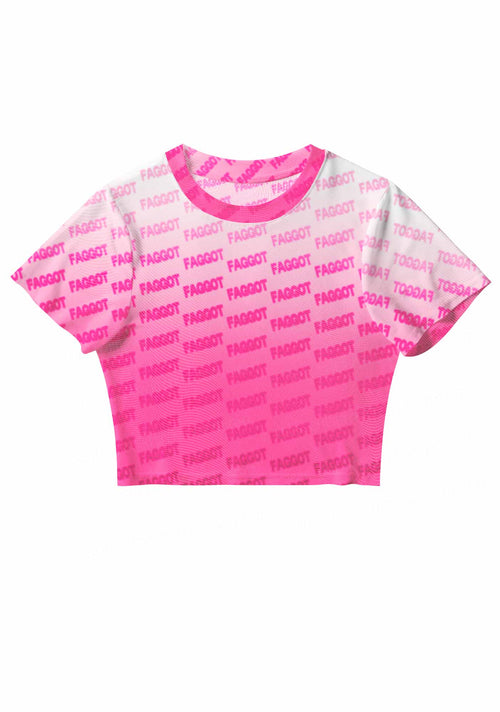 Faded Pink Faggot Pride Y2K Mesh Crop Top Cherrykitten