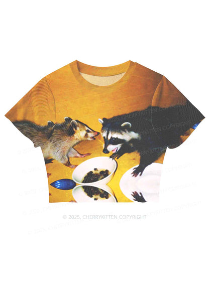 Raccoon Meal Y2K Mesh Crop Top Cherrykitten