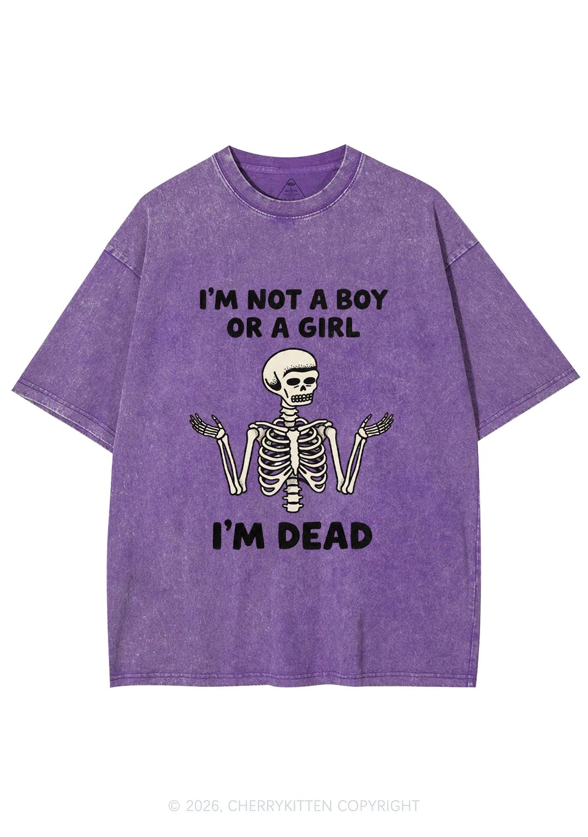 Im Not A Boy Or A Girl Pride Y2K Shirts Washed Tee Cherrykitten