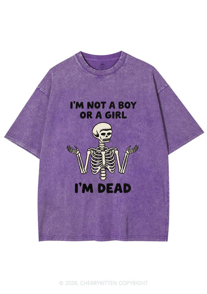 Im Not A Boy Or A Girl Pride Y2K Shirts Washed Tee Cherrykitten