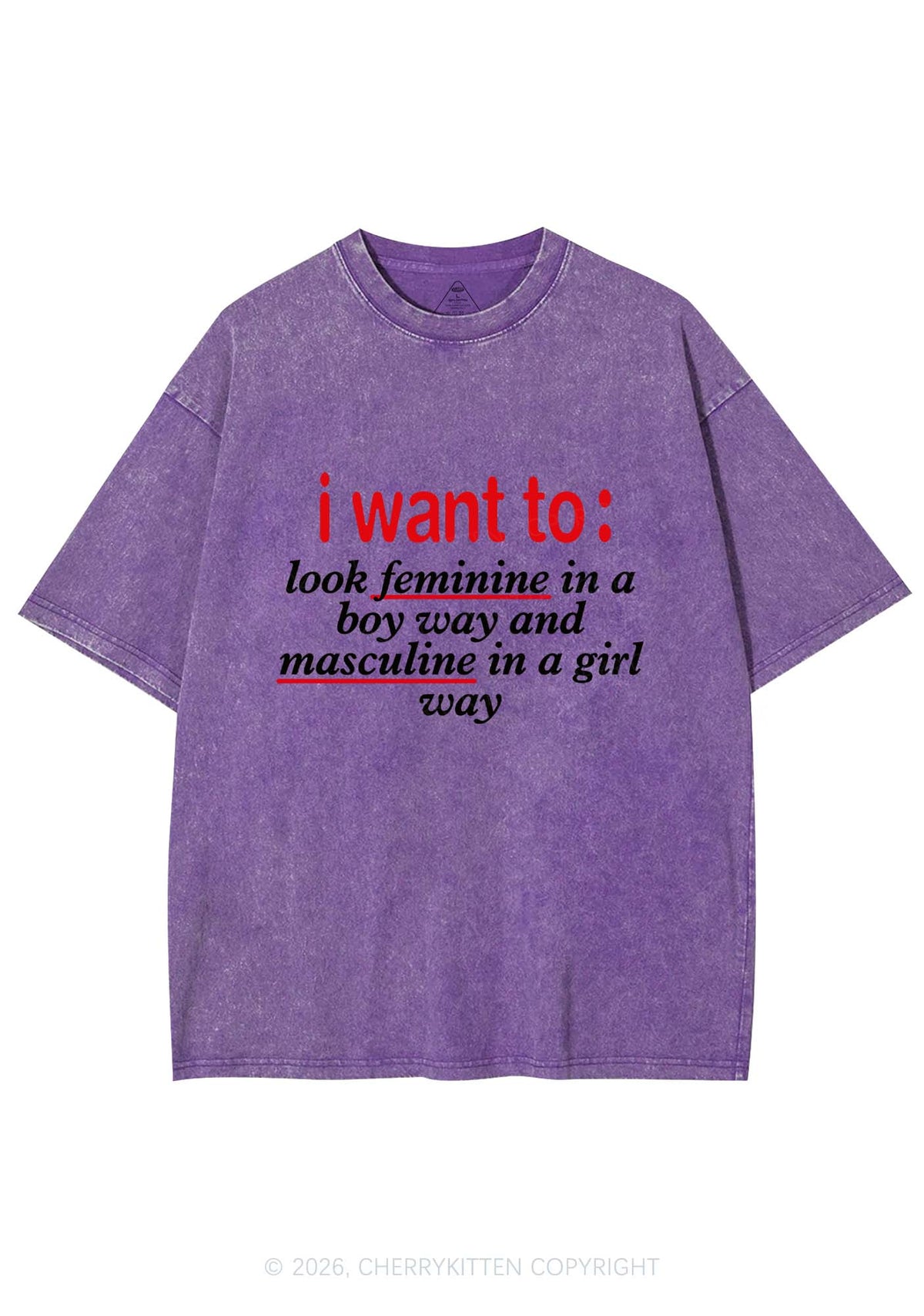 I Want To Feminine Masculine Pride Y2K Shirts Washed Tee Cherrykitten