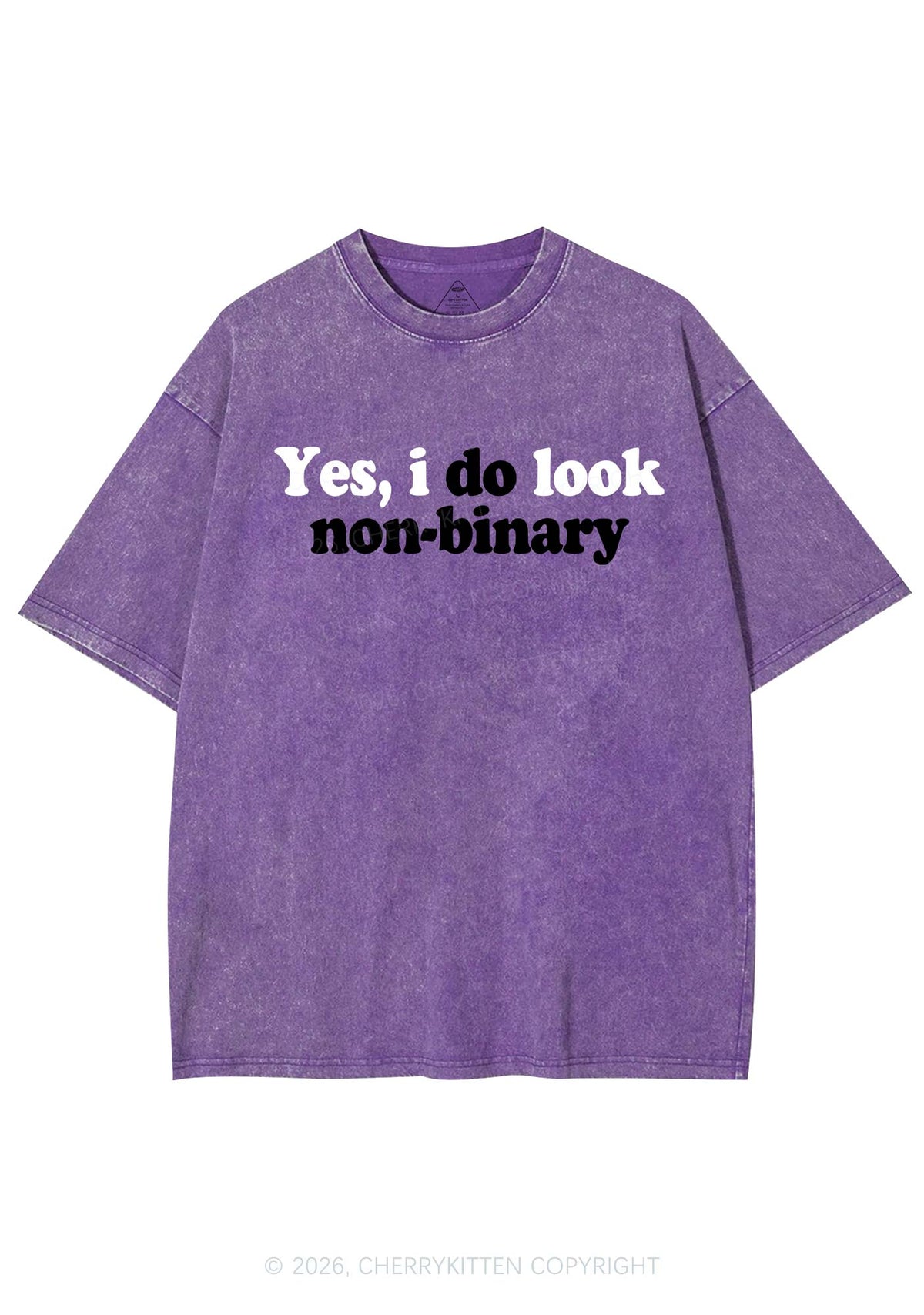 I Do Look Nonbinary Pride Y2K Shirts Washed Tee Cherrykitten