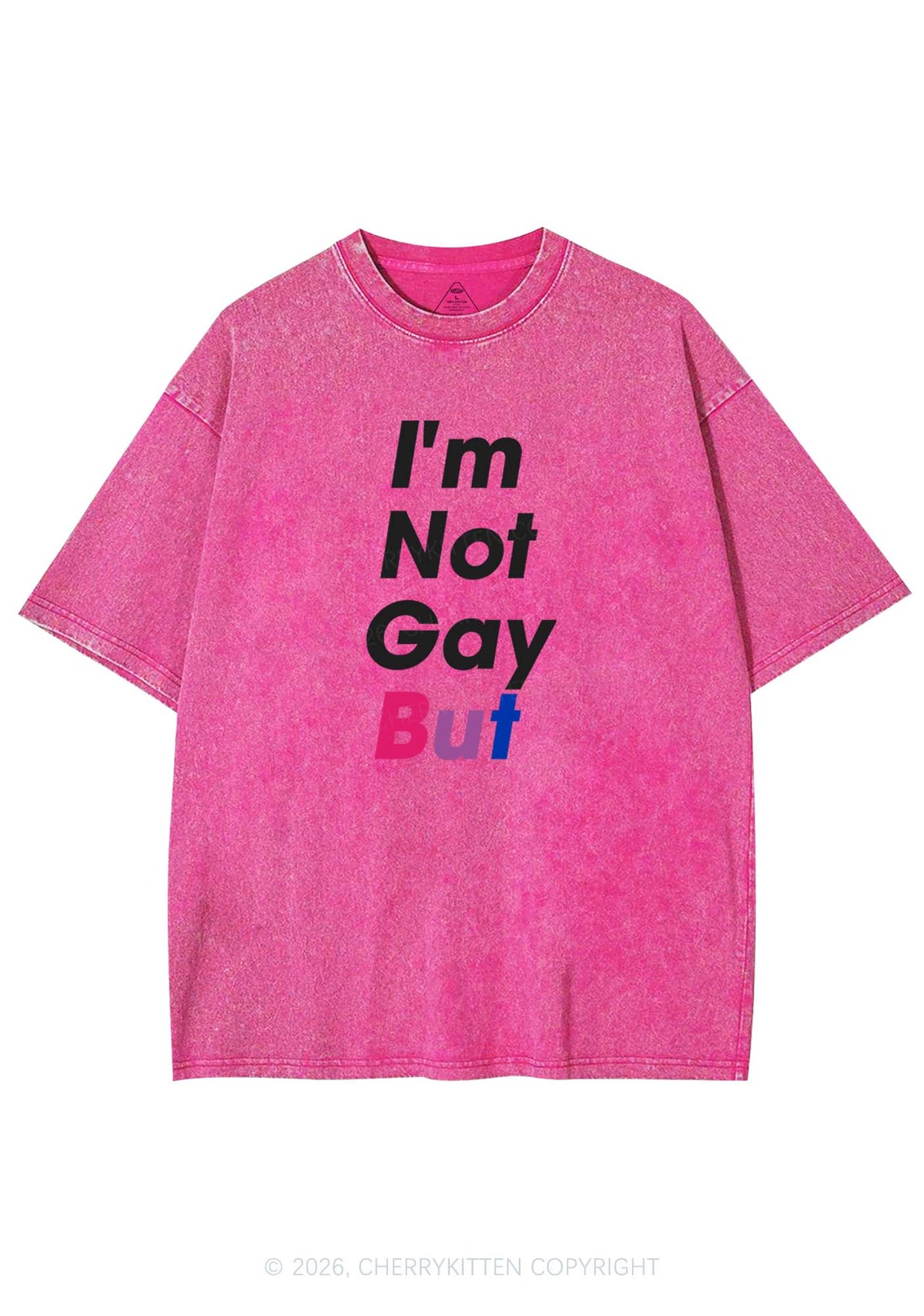 Im Not Gay But Pride Y2K Shirts Washed Tee Cherrykitten