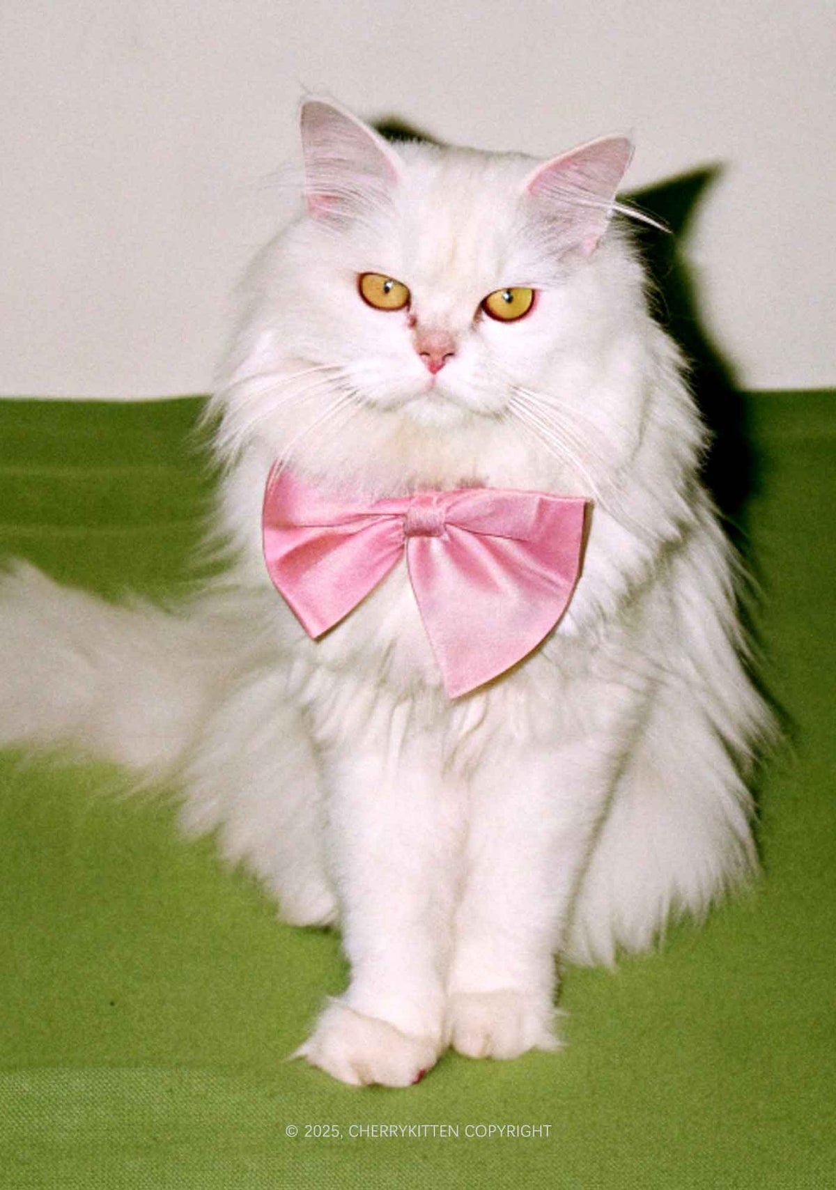Pink Bow Cat Y2K Mesh Crop Top Cherrykitten