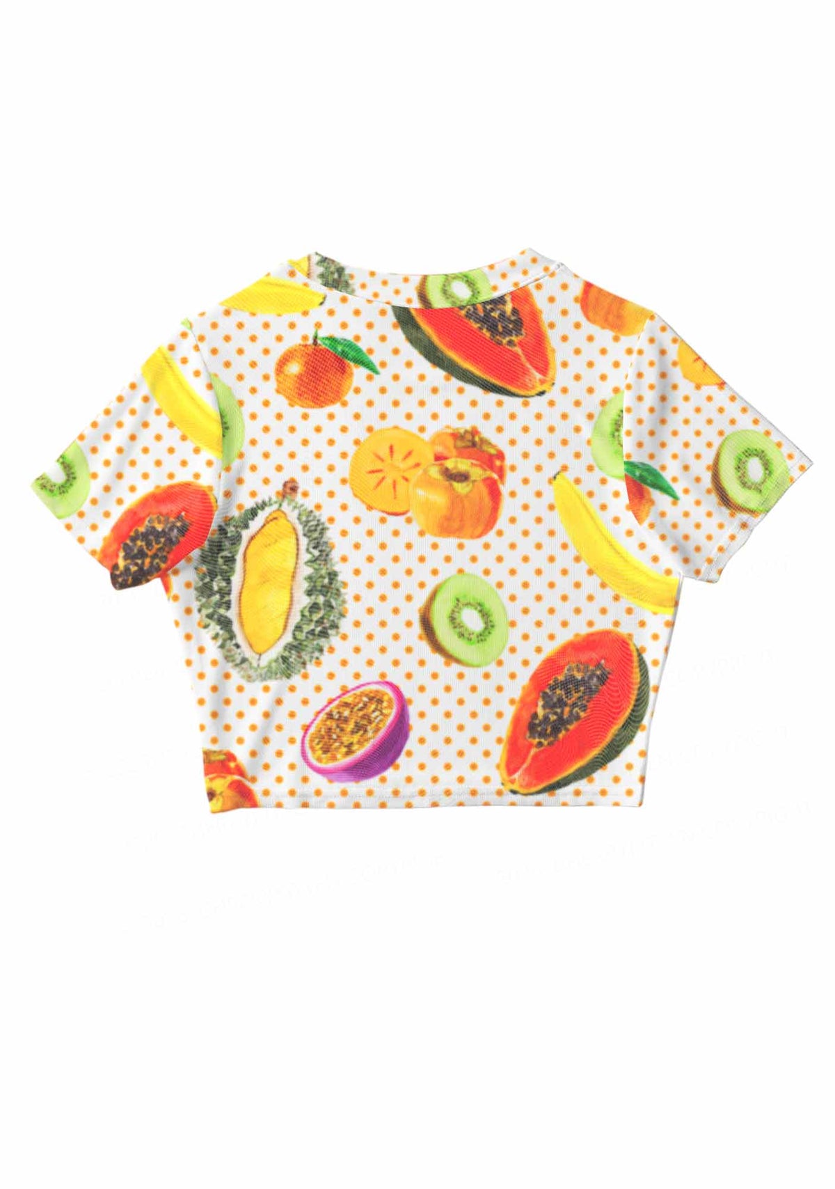 Fruity Dots Pride Y2K Mesh Crop Top Cherrykitten