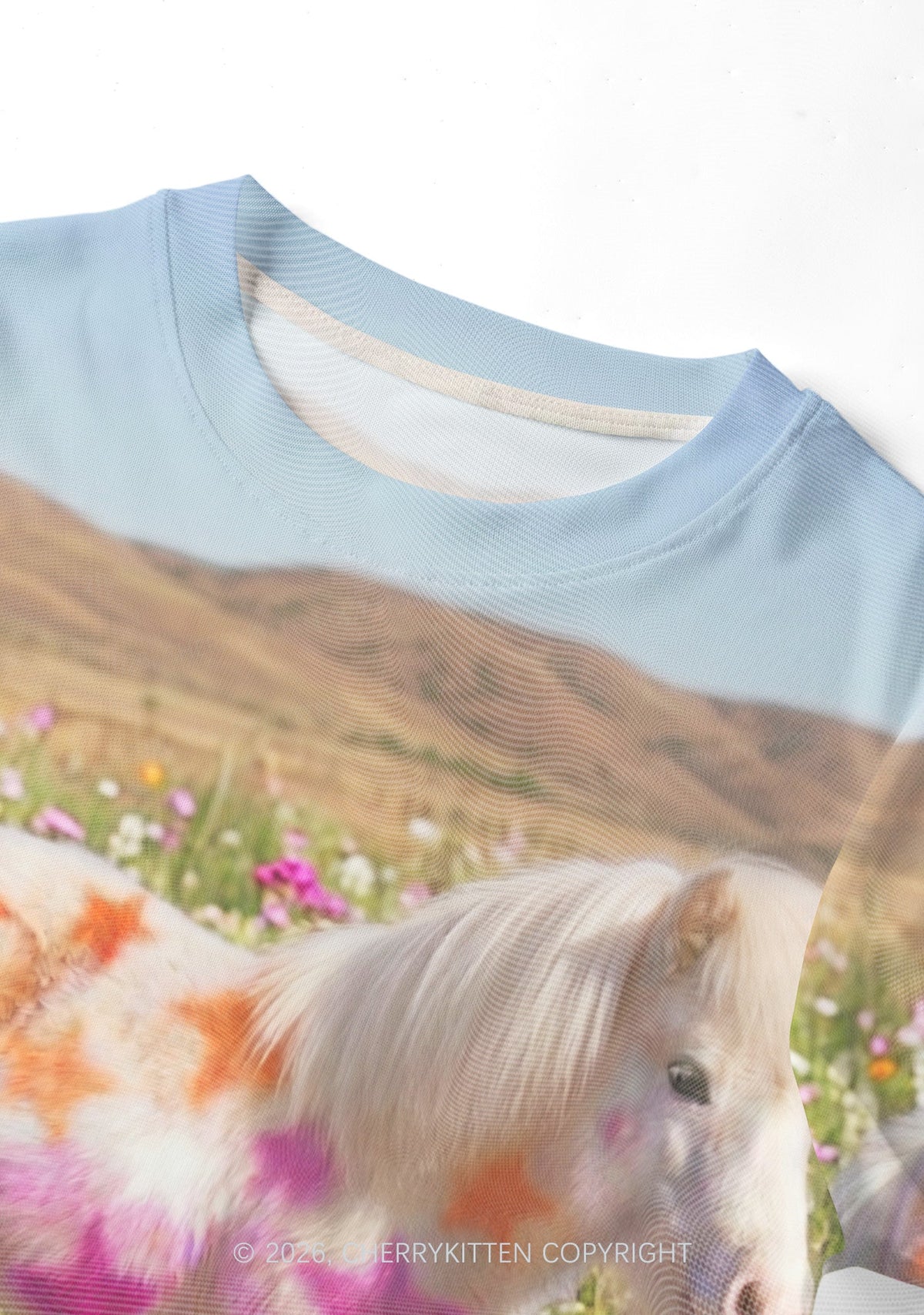 Lesbian Stars Pony Pride Y2K Mesh Crop Top Cherrykitten