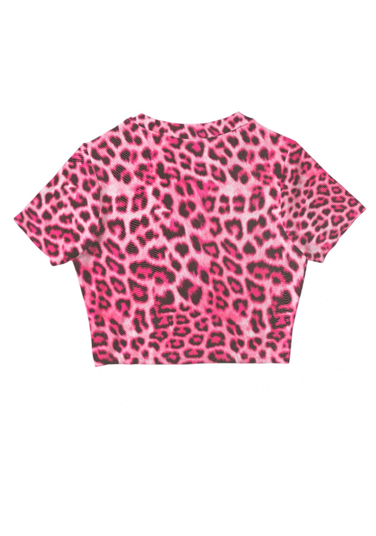 Pink Leopard Faggot Pride Y2K Mesh Crop Top Cherrykitten