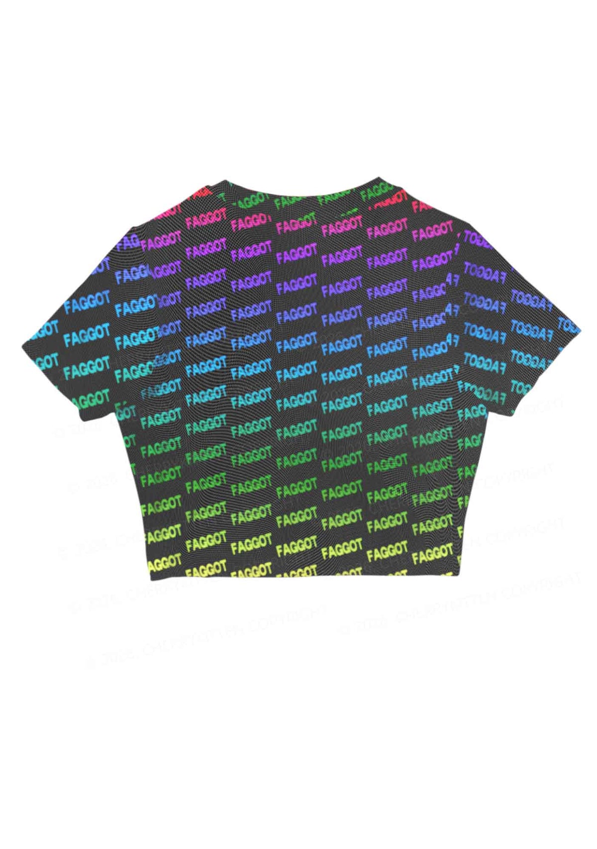 Neon Rainbow Faggot Pride Y2K Mesh Crop Top Cherrykitten