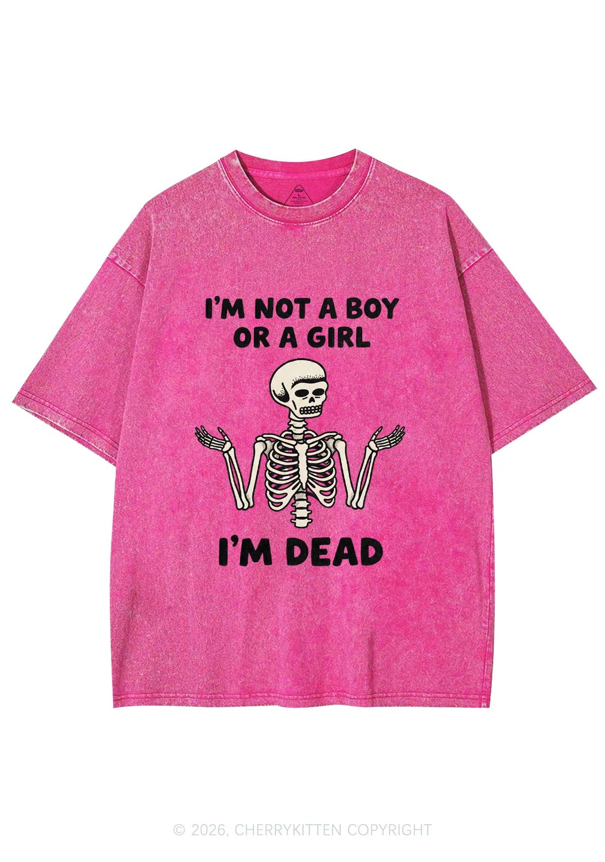 Im Not A Boy Or A Girl Pride Y2K Shirts Washed Tee Cherrykitten