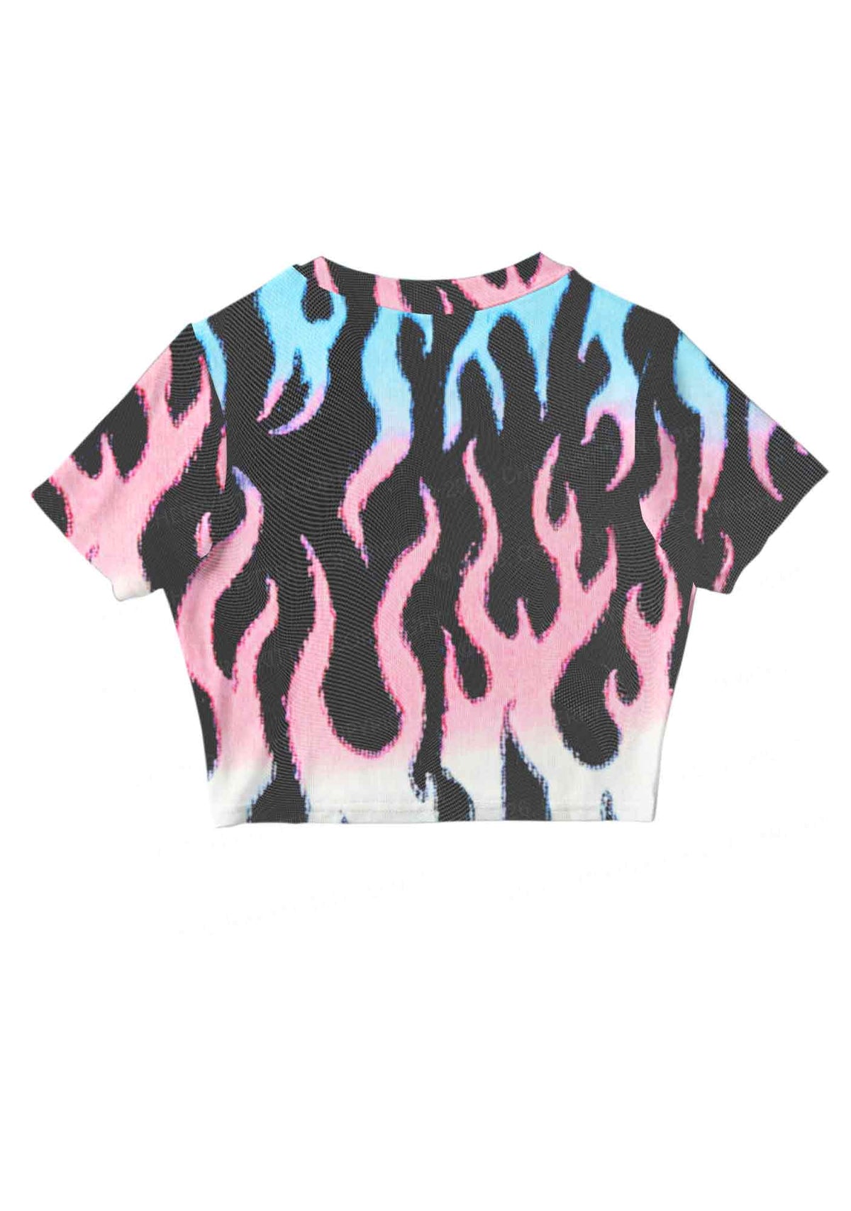 Trans Flame Pride Y2K Mesh Crop Top Cherrykitten