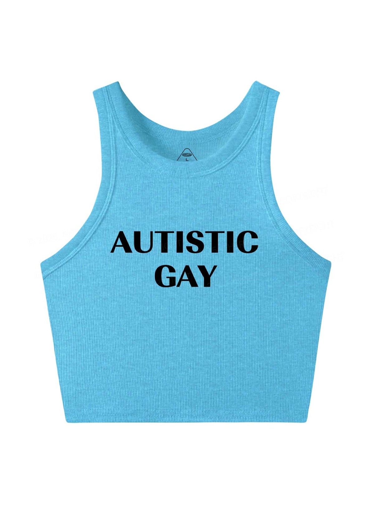 Autistic Gay Pride Y2K Crop Tank Top Cherrykitten