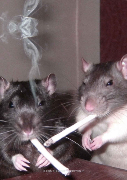 Smoking Rats Y2K Mesh Crop Top Cherrykitten