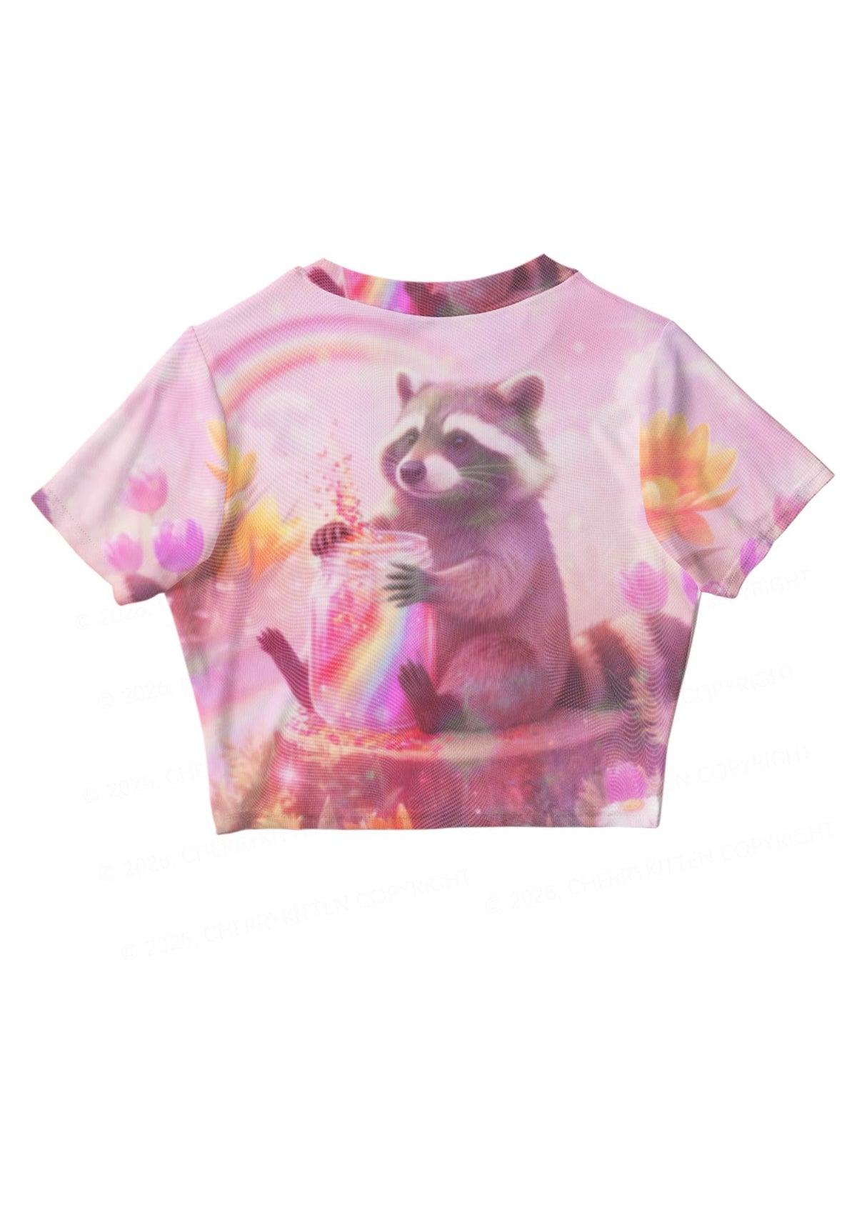Rainbow Raccoon Pride Y2K Mesh Crop Top Cherrykitten