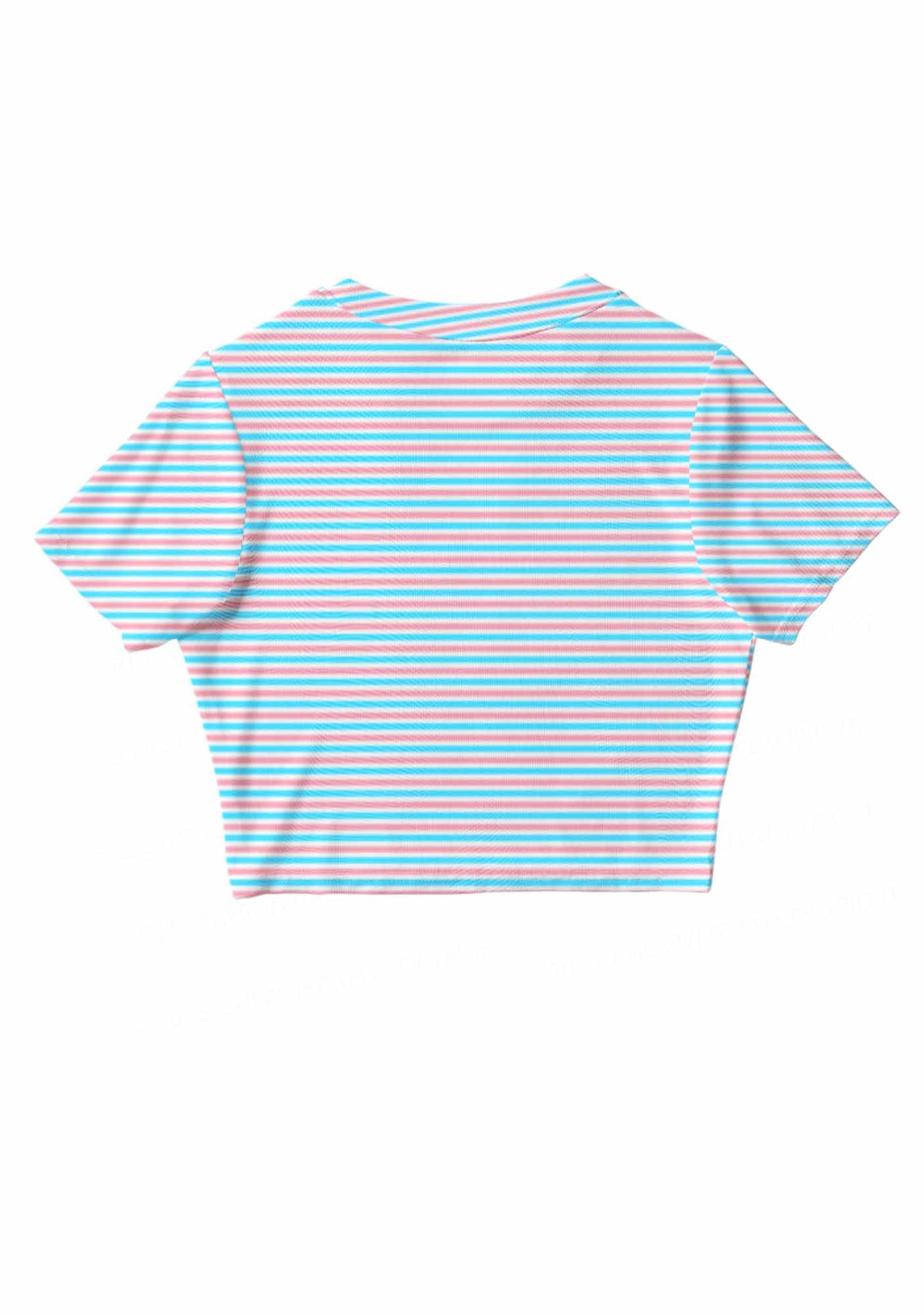 Trans Stripes Pride Y2K Mesh Crop Top Cherrykitten