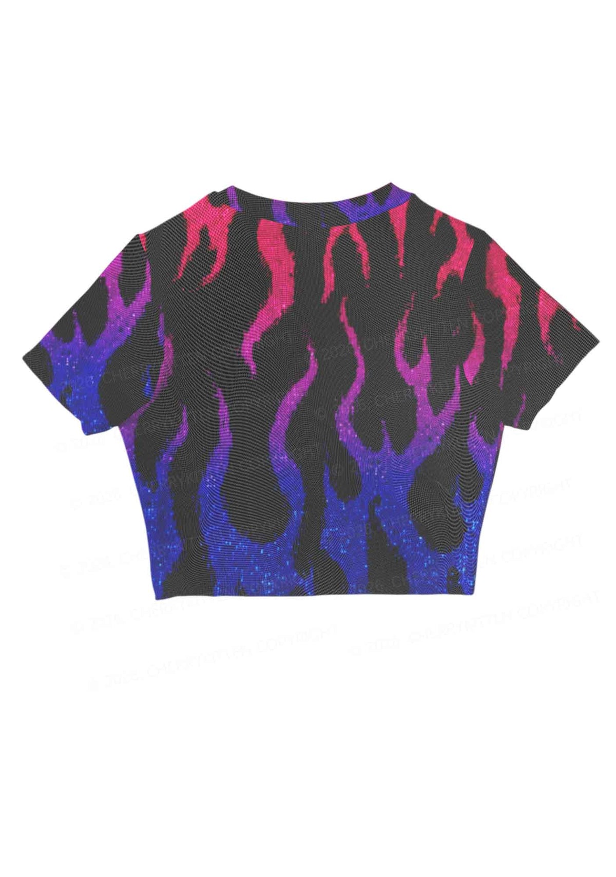 Bisexual Flame Pride Y2K Mesh Crop Top Cherrykitten
