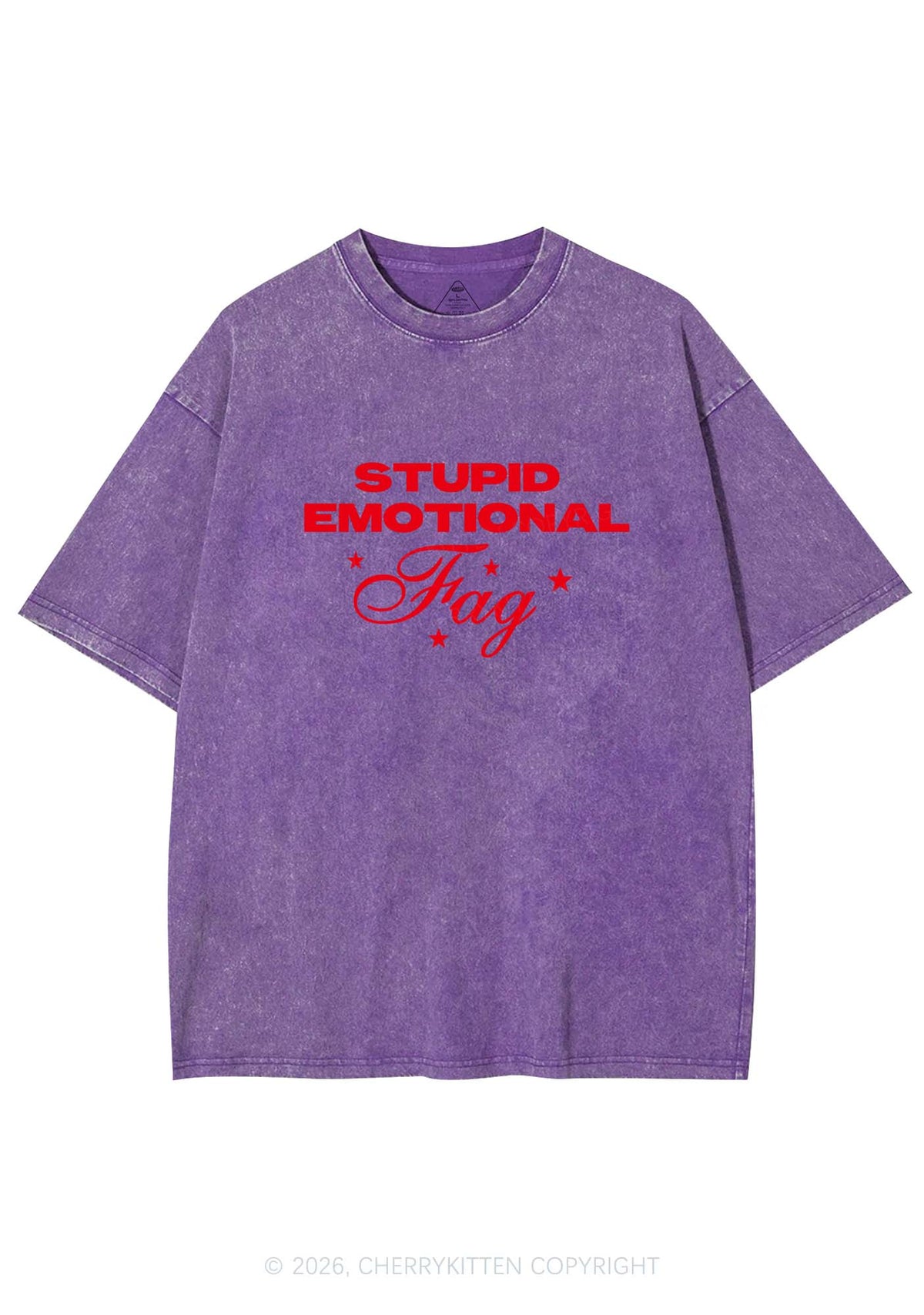 Stupid Emotional Fag Pride Y2K Shirts Washed Tee Cherrykitten
