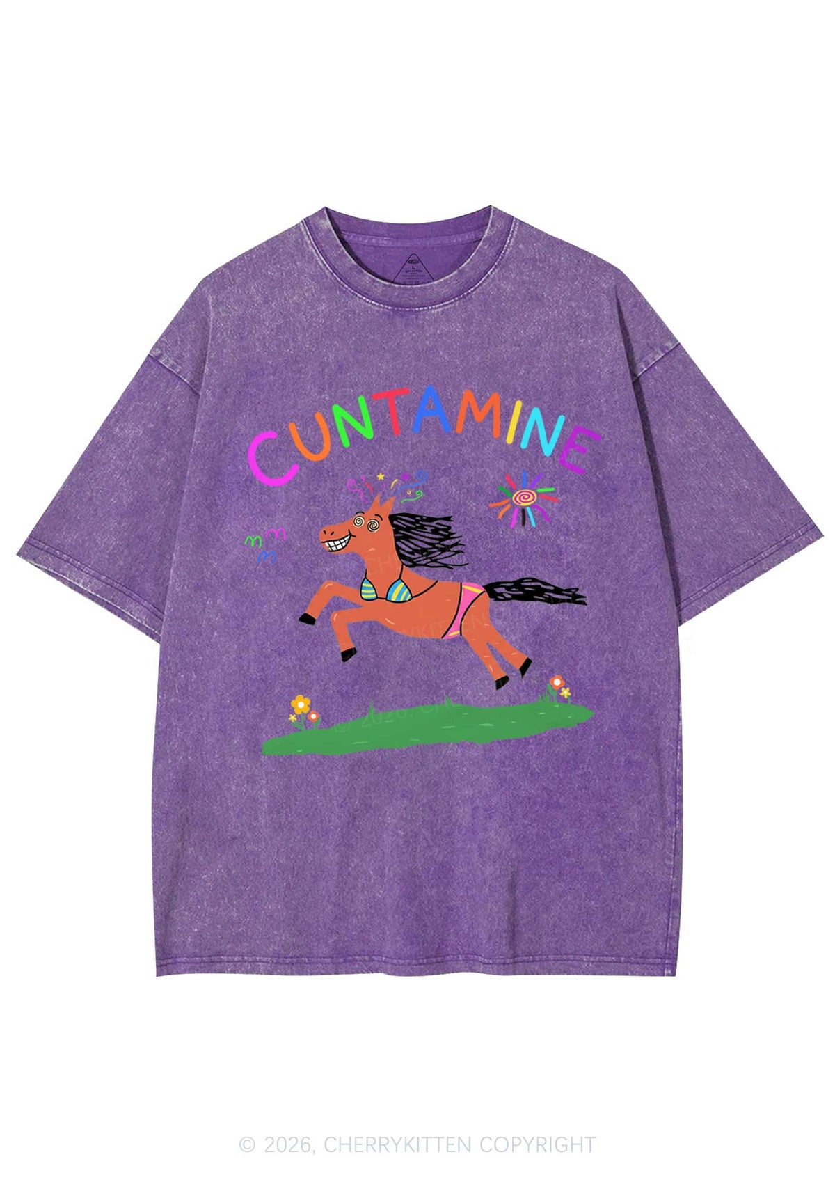 Cxxtamine Pony Y2K Shirts Washed Tee Cherrykitten