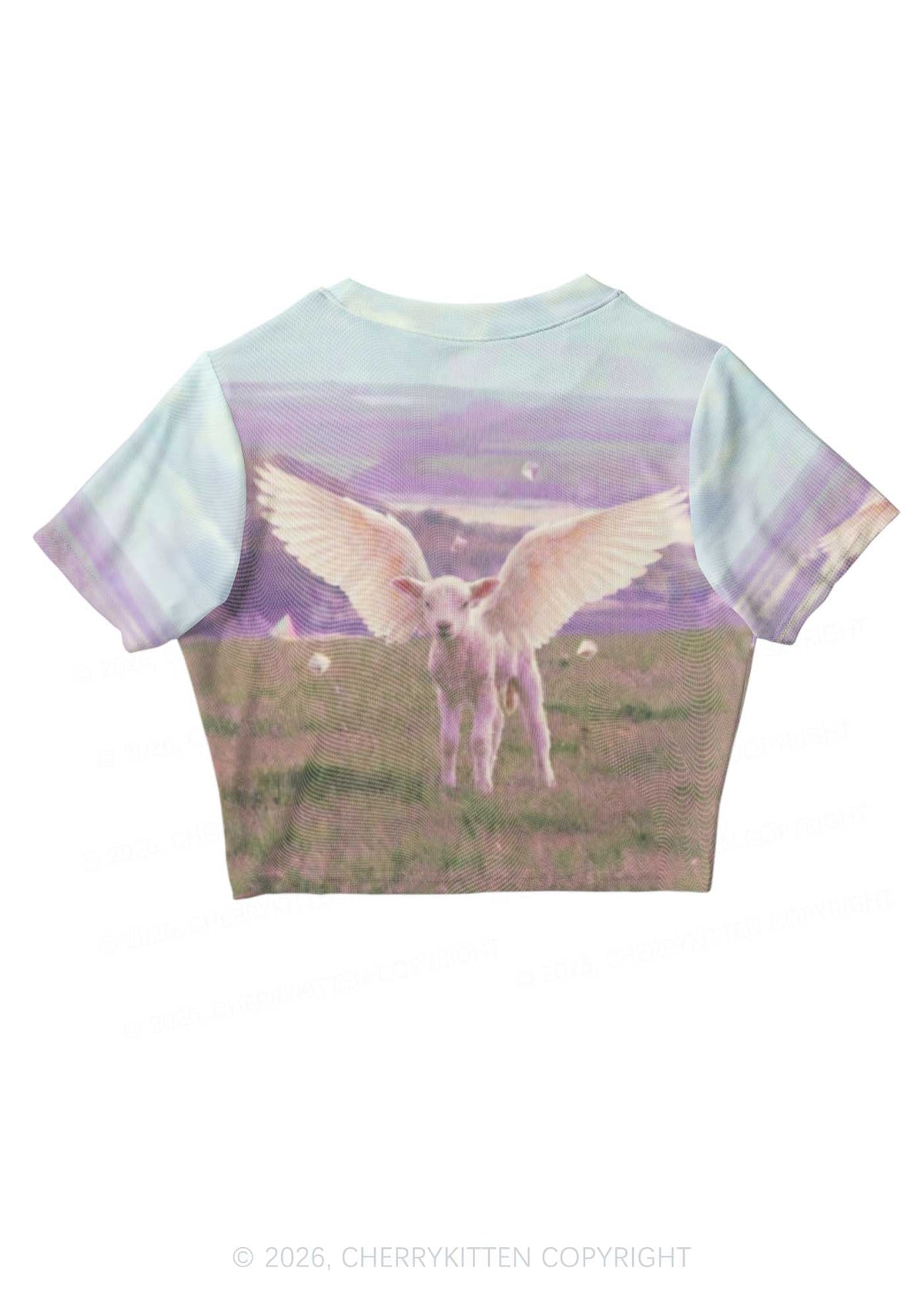 Angel Wing Lamb Y2K Mesh Crop Top Cherrykitten