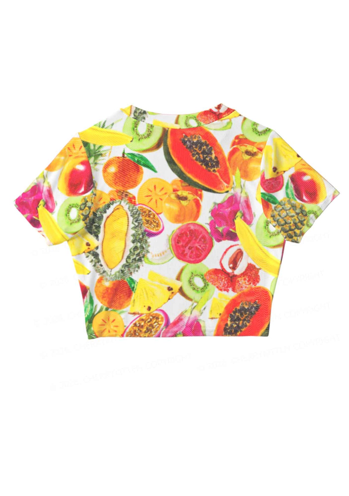 Tropical Fruit Pride Y2K Mesh Crop Top Cherrykitten