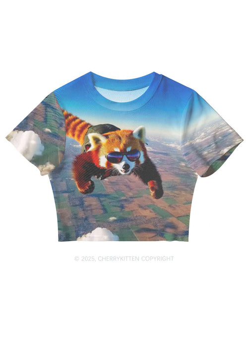 Flying Cool Raccoon Y2K Mesh Crop Top Cherrykitten