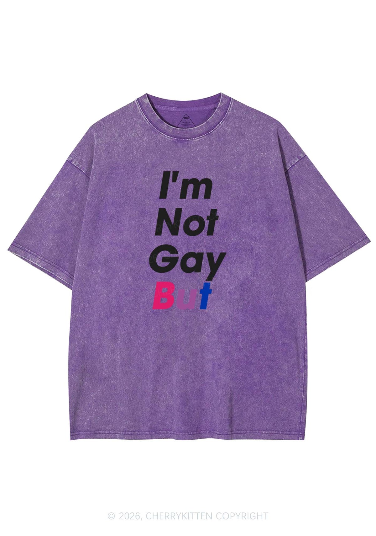 Im Not Gay But Pride Y2K Shirts Washed Tee Cherrykitten