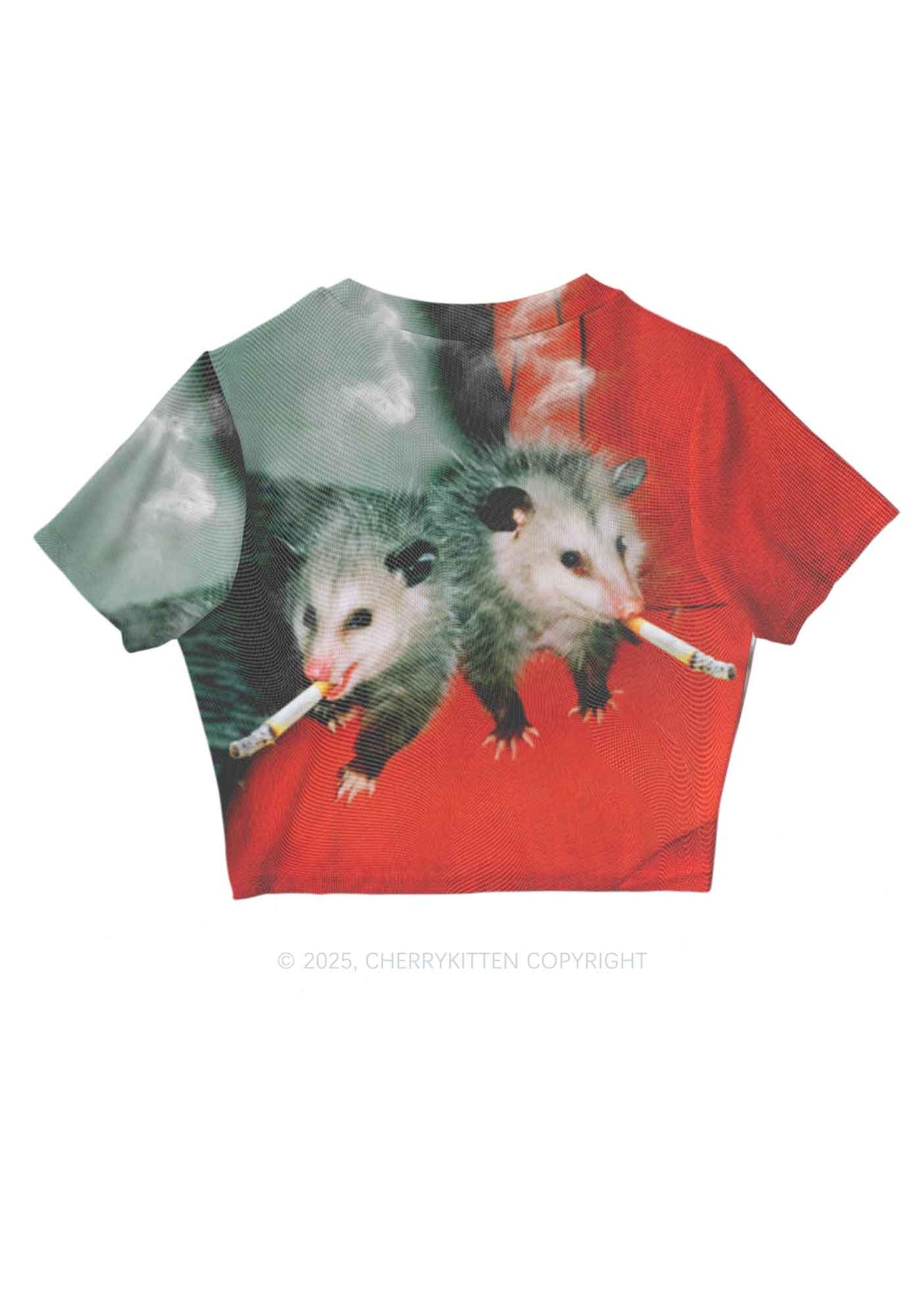 Smoking Badass Possum Y2K Mesh Crop Top Cherrykitten