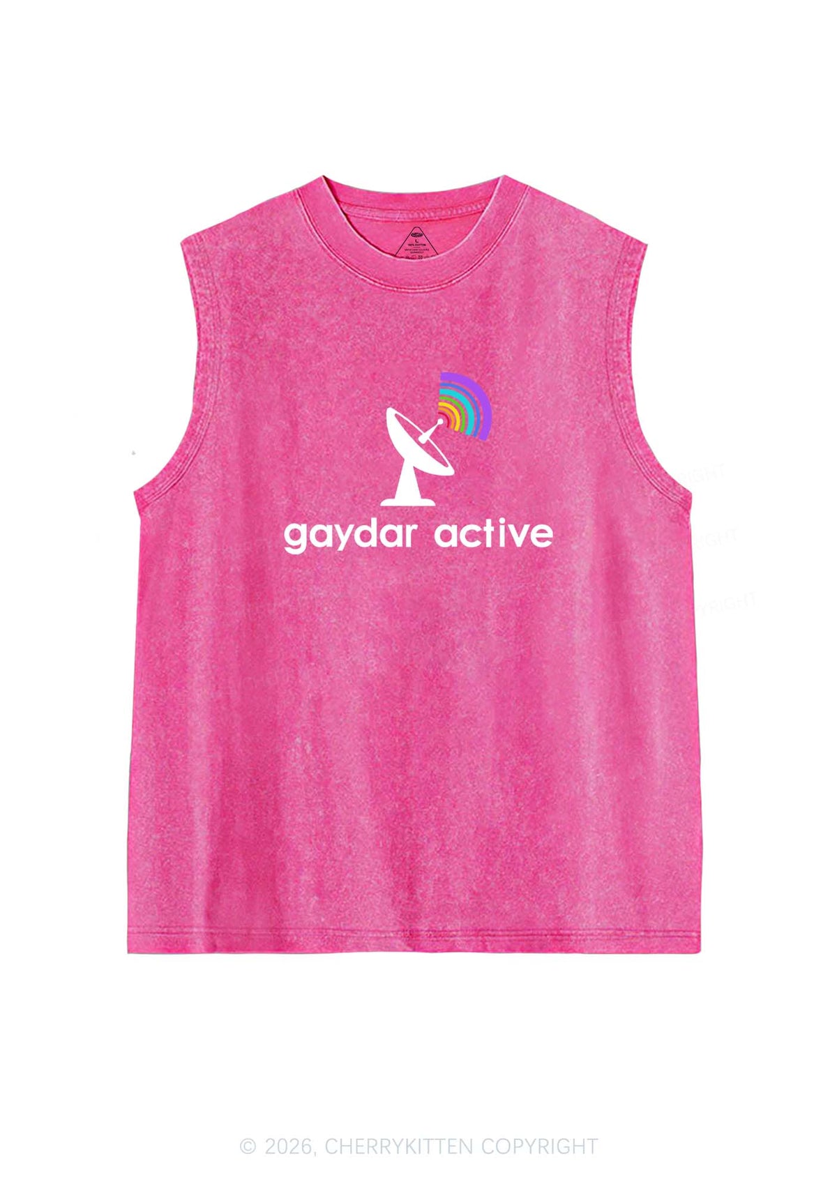 Gaydar Active Pride Y2K Washed Muscle Tank Cherrykitten