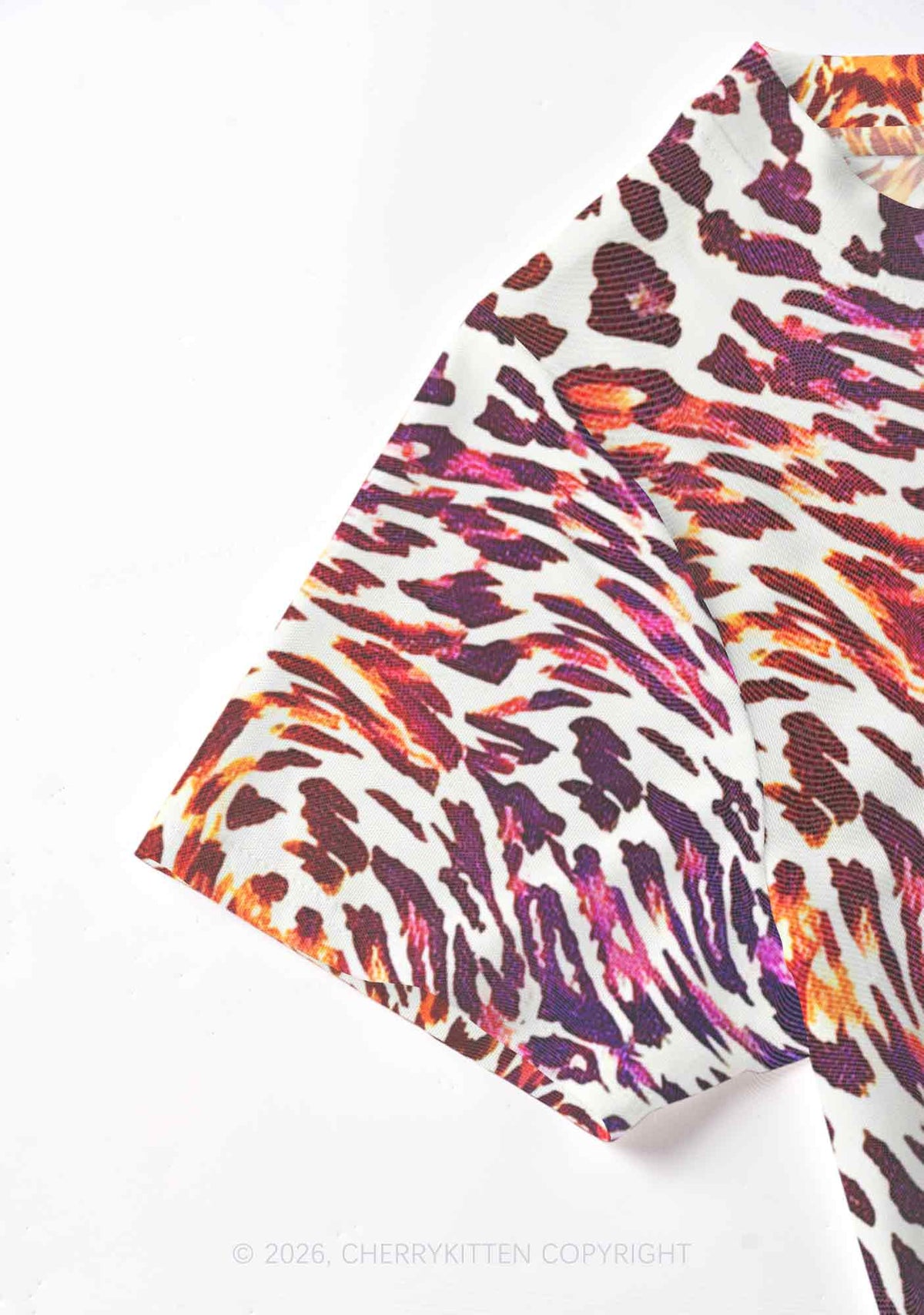 Lesbian Leopard Pride Y2K Mesh Crop Top Cherrykitten