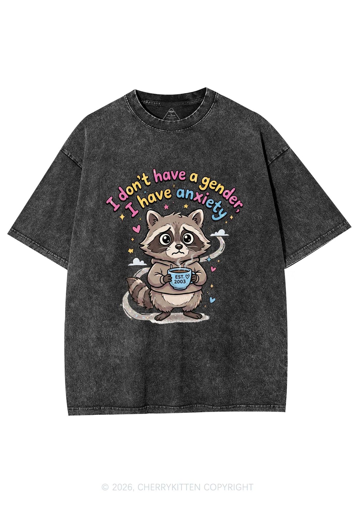 Raccoon I dont Have A Gender Pride Y2K Shirts Washed Tee Cherrykitten