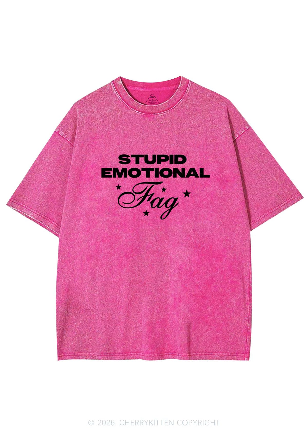 Stupid Emotional Fag Pride Y2K Shirts Washed Tee Cherrykitten