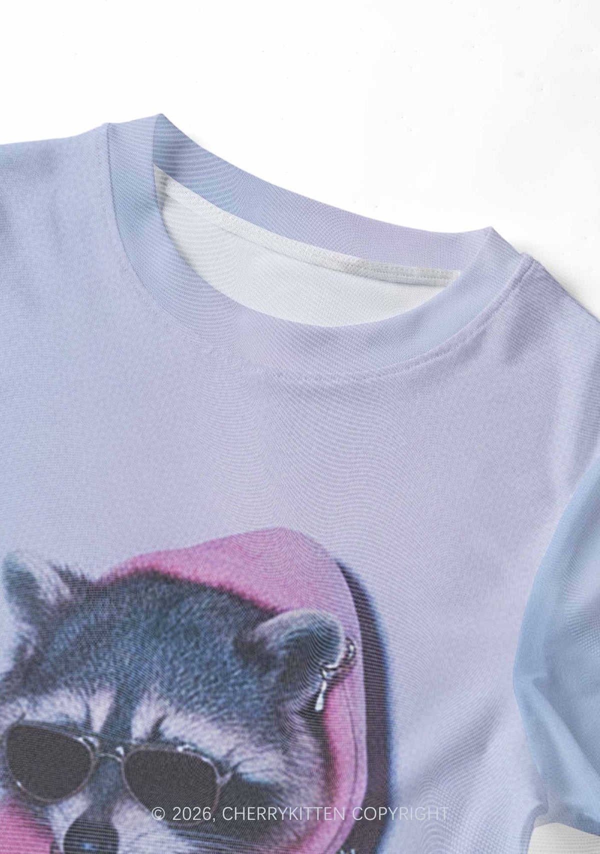 Pink Hoodie Raccoon DJ Y2K Mesh Crop Top Cherrykitten