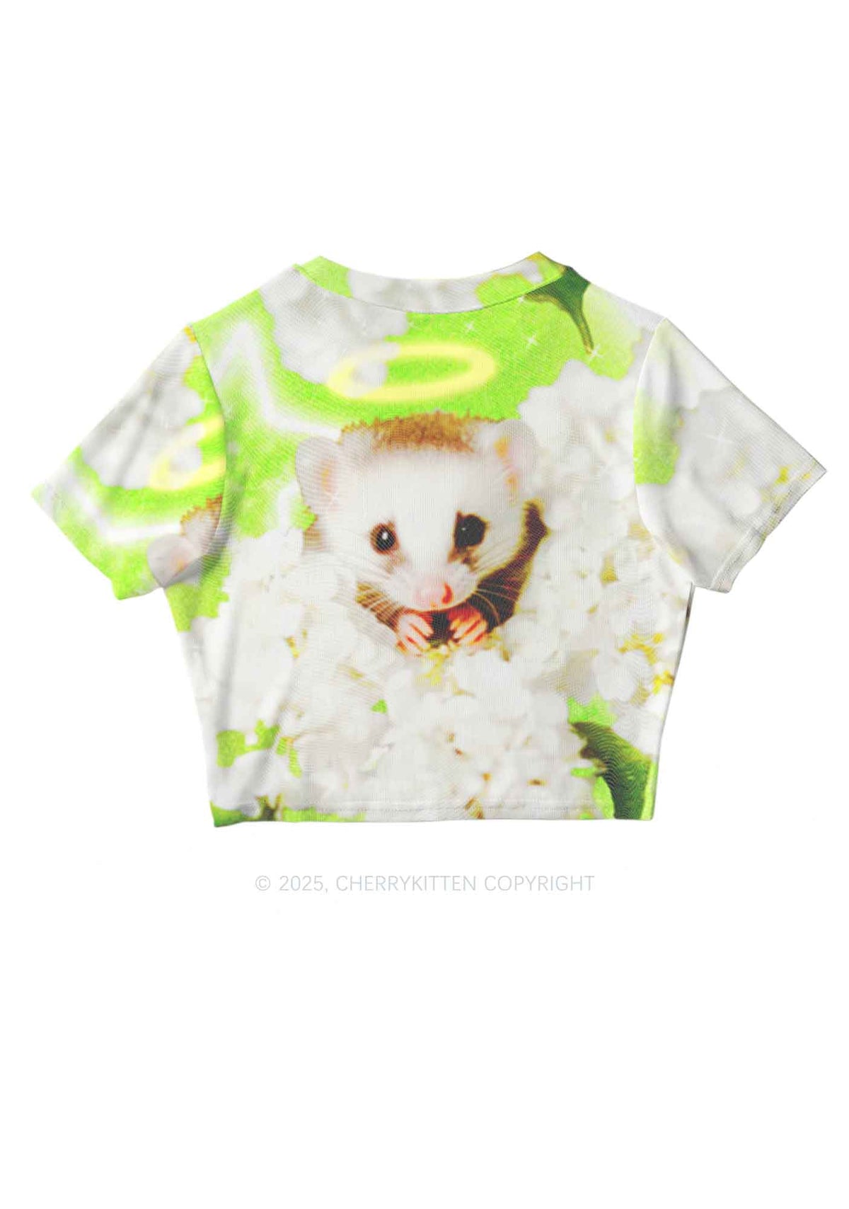 Flower Angel Ratz Y2K Mesh Crop Top Cherrykitten