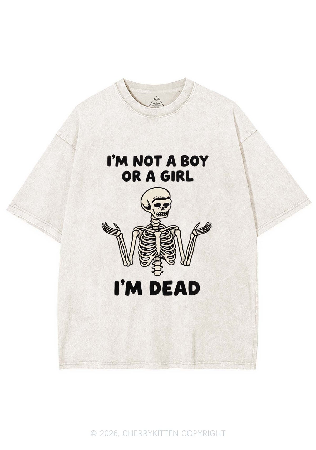 Im Not A Boy Or A Girl Pride Y2K Shirts Washed Tee Cherrykitten