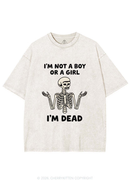 Im Not A Boy Or A Girl Pride Y2K Shirts Washed Tee Cherrykitten