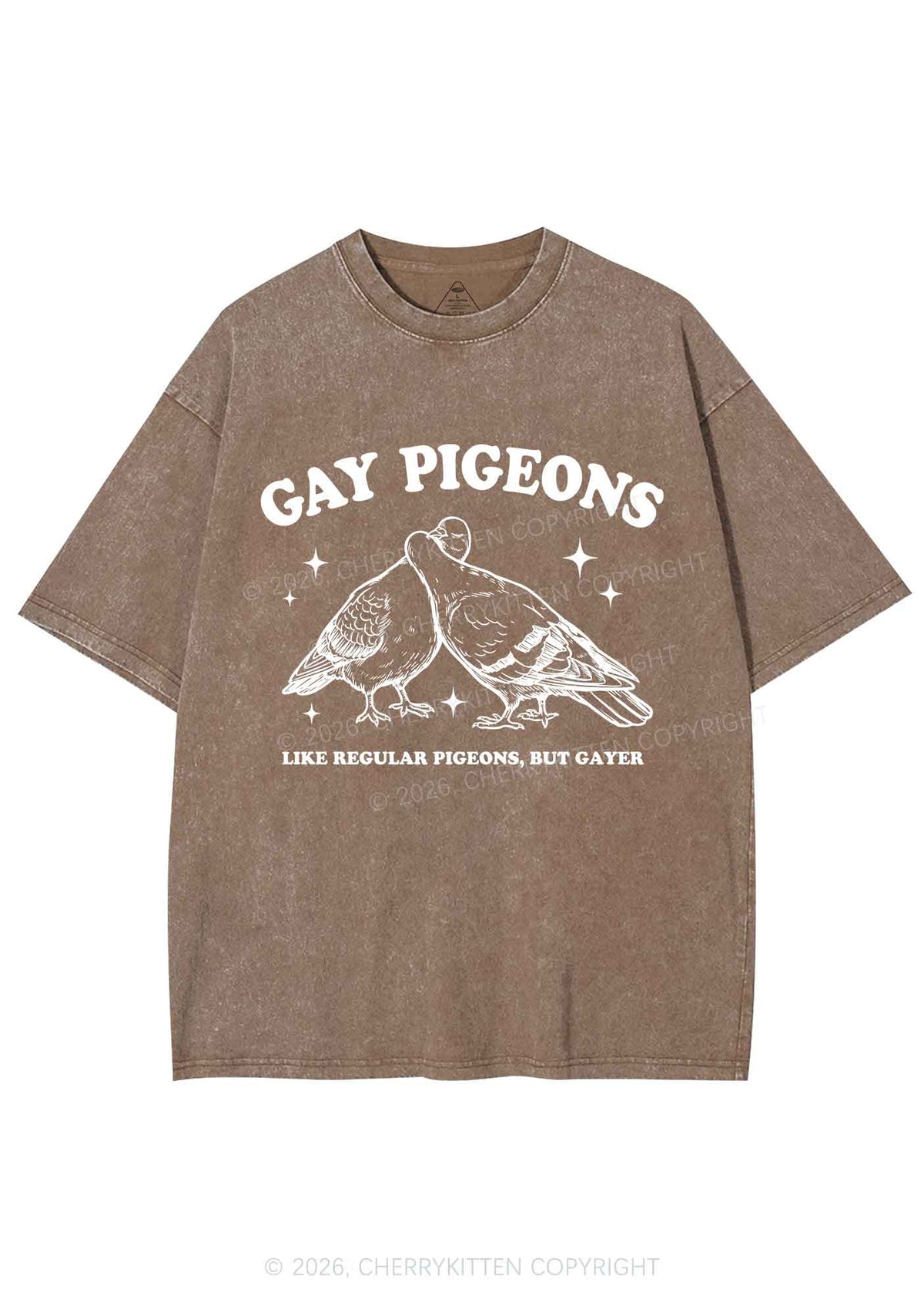 Gay Pigeons Kissing Pride Y2K Shirts Washed Tee Cherrykitten