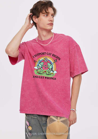 I Support Gay Rights Disco Frogs Y2K Shirts Washed Tee Cherrykitten